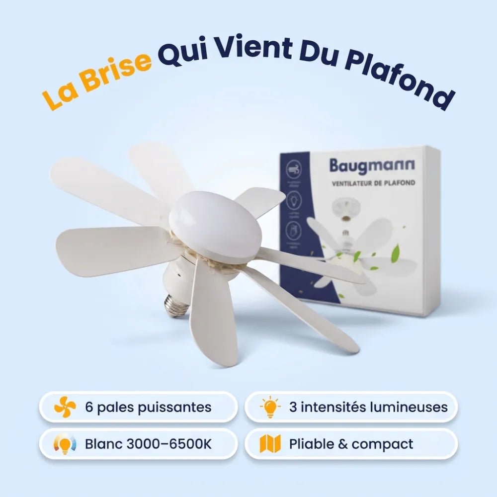 Ventilateur de plafond